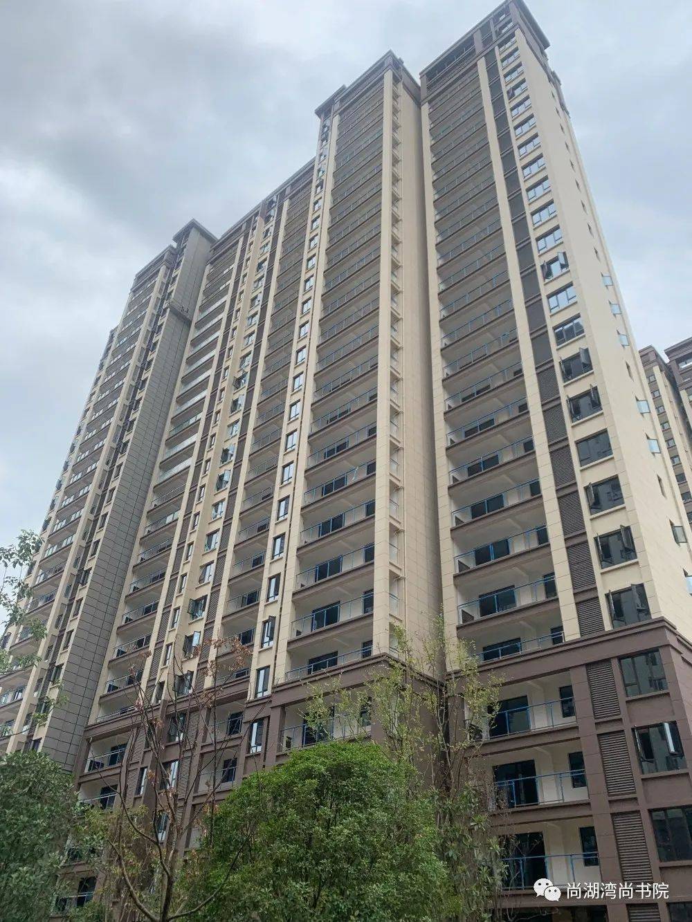 「尚湖湾尚书院」多图曝光阳新这处施工现场!