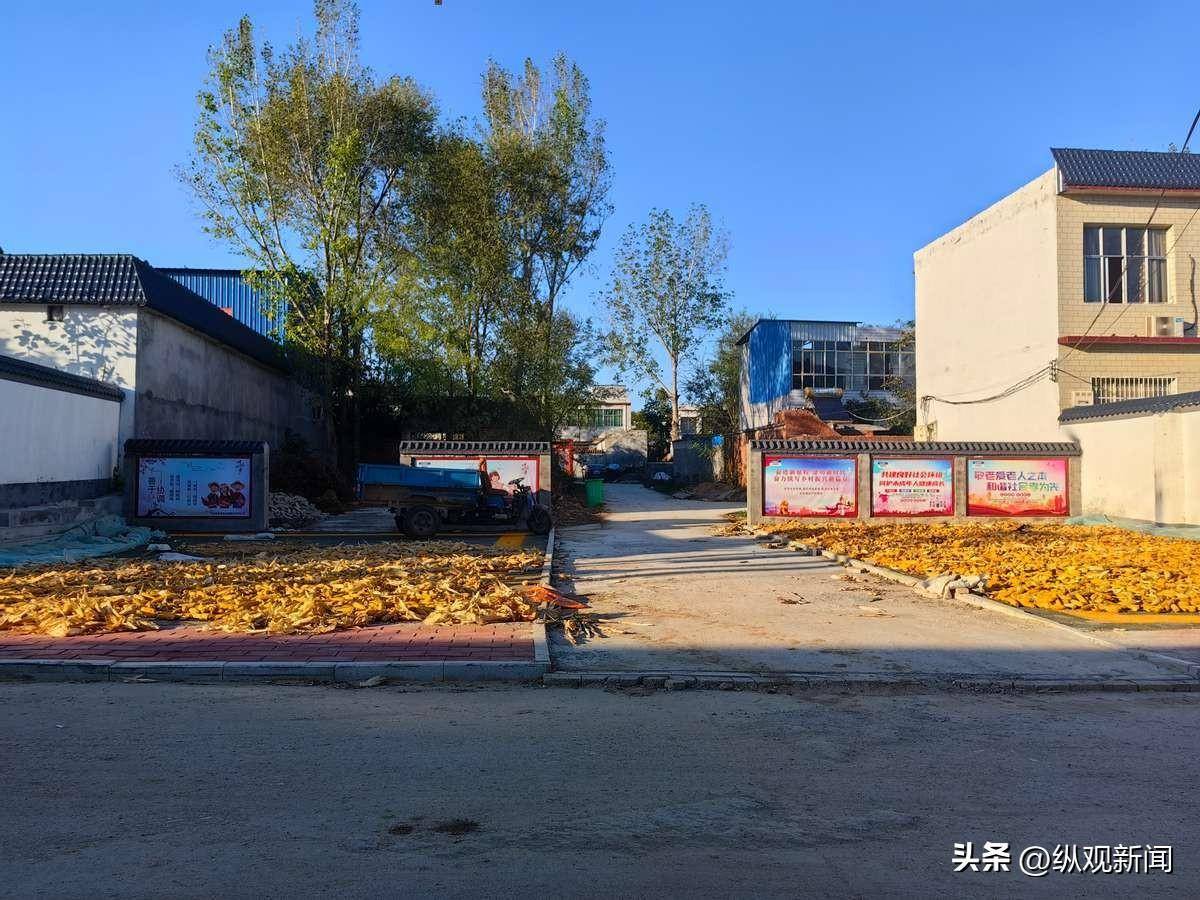 社旗县朱集镇:美丽乡村绘新景 村美民富幸福来_老庄村_建设_路灯