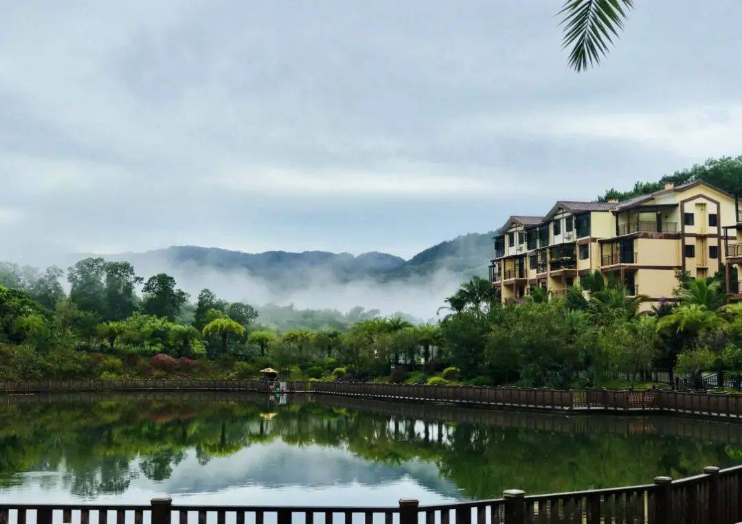 【阳光雨林】——星级养生度假酒店等全维配套加持_海南_咨询_购房