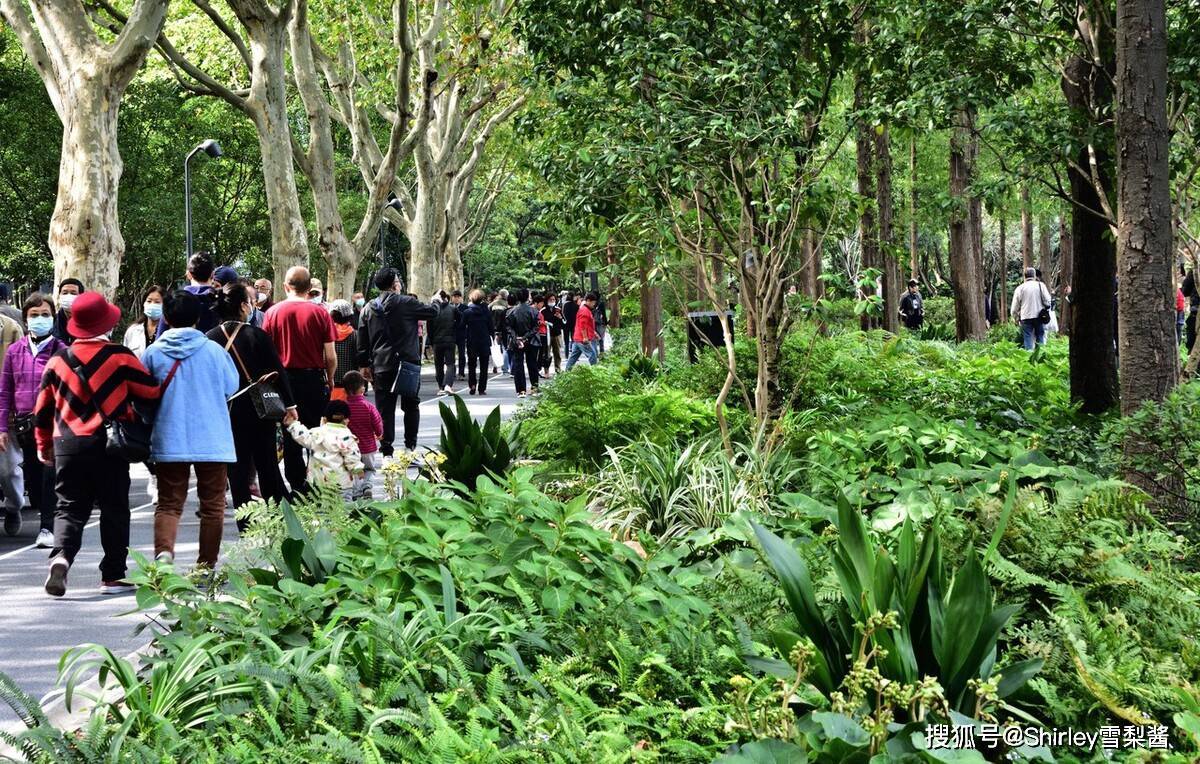 阔别2年，上海这座老公园重新开放，人气虽高但可惜“灵魂不再”