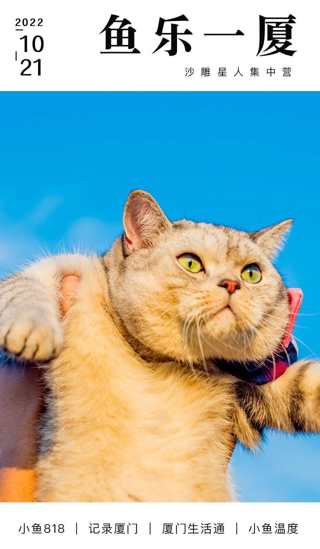 厦门人现在平均身高估计175以上，你达标了吗？”鱼友：我是177，出去一堆人都比我矮！_搜狐网