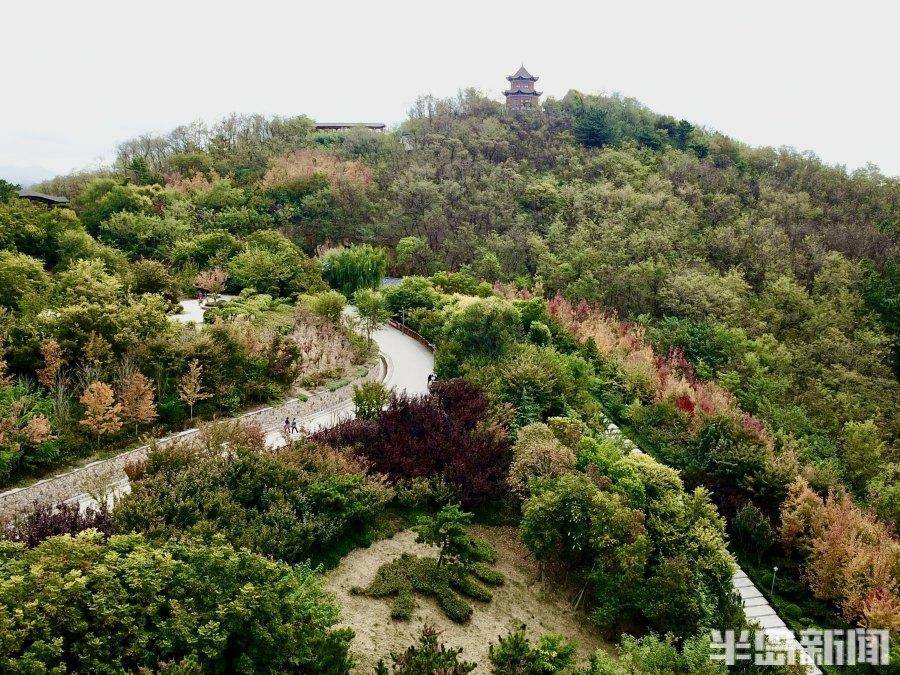 10月21日上午,記者在象耳山公園看到,漫山遍野間,各種彩葉林被秋風