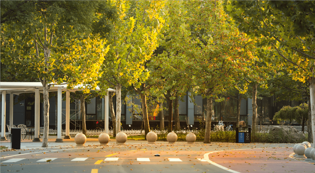 校园秋景 | 一起解锁山东华宇工学院的秋景图鉴_教育部_秋阳_版权