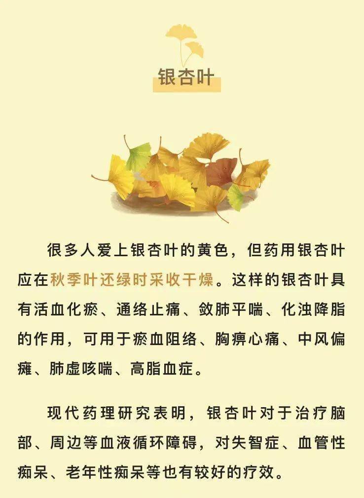 银杏树下的小白果千万别乱捡~_食用_建议_种皮