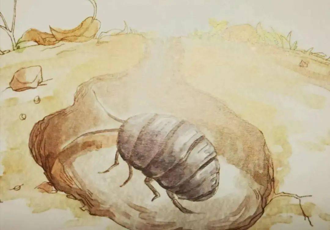 蛰虫咸俯蜇虫也全在洞中不动不食,垂下头来进入冬眠状态中.