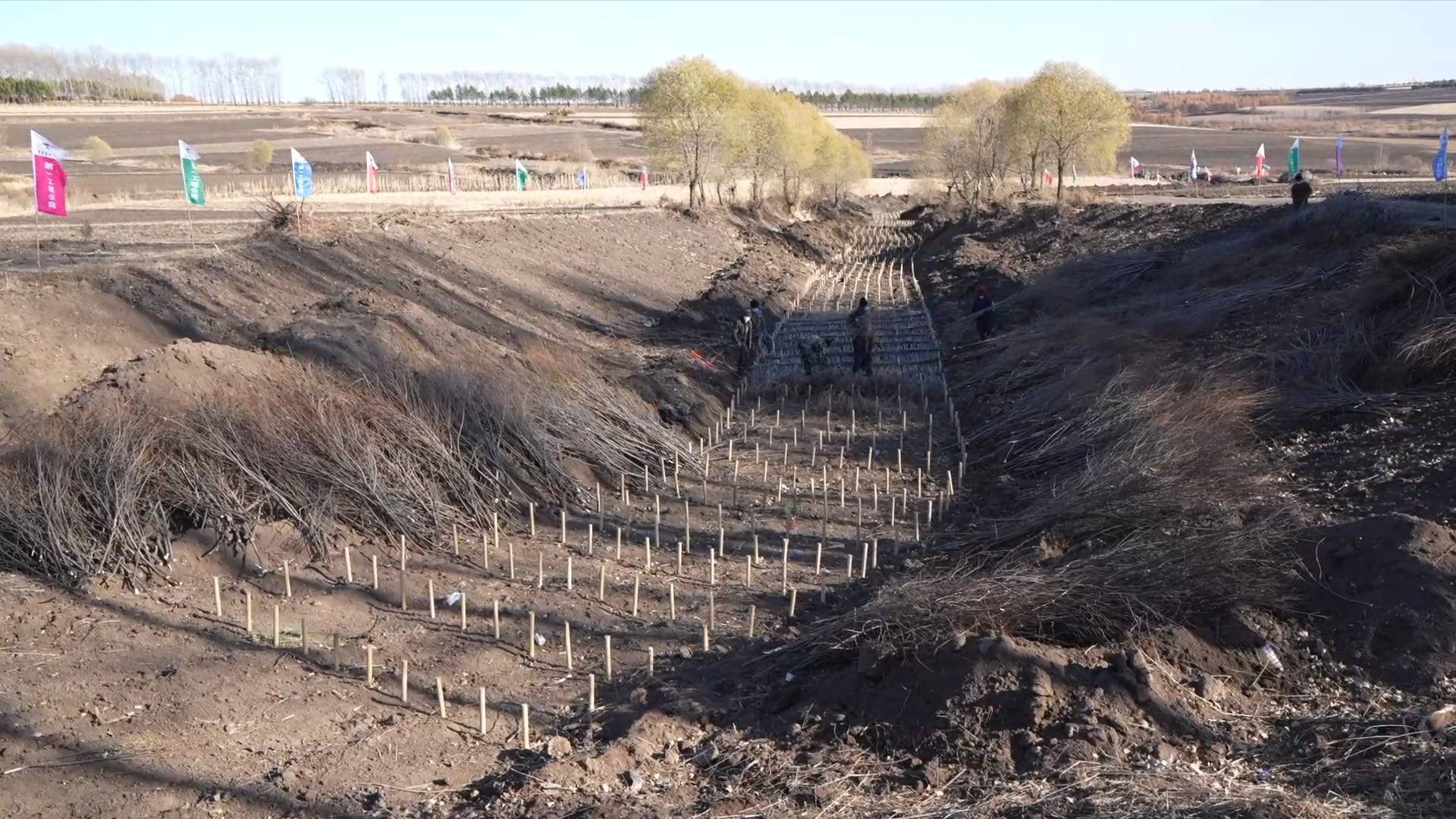 新华全媒 |黑龙江:推进侵蚀沟治理 保护黑土耕地_拜泉县_计划_王建威
