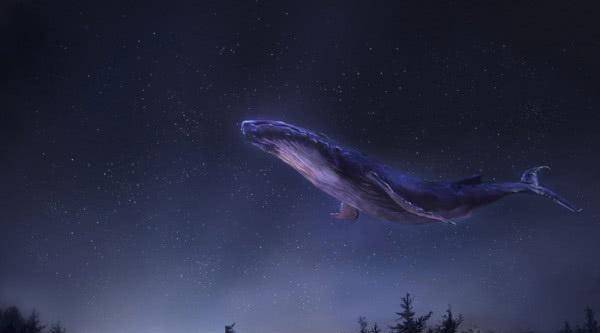 传说《山海经》中的"北冥鱼"能滑翔百米?