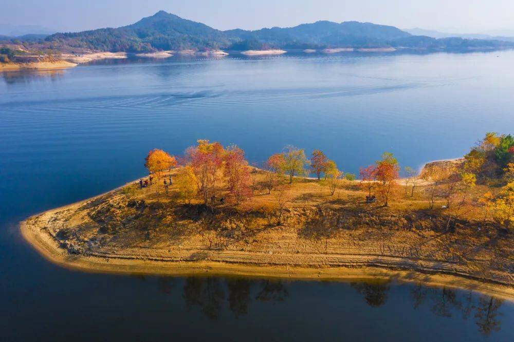 湖北黄冈:白莲湖发现几十公里水上红叶带!_河水库_岛屿_出发