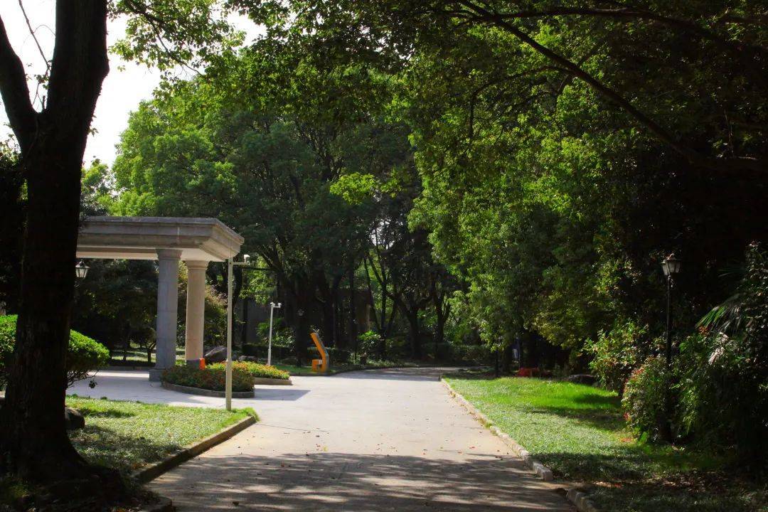 上海国际学校光华启迪新生眼里的淀山湖校区,被迷住不是没道理的!