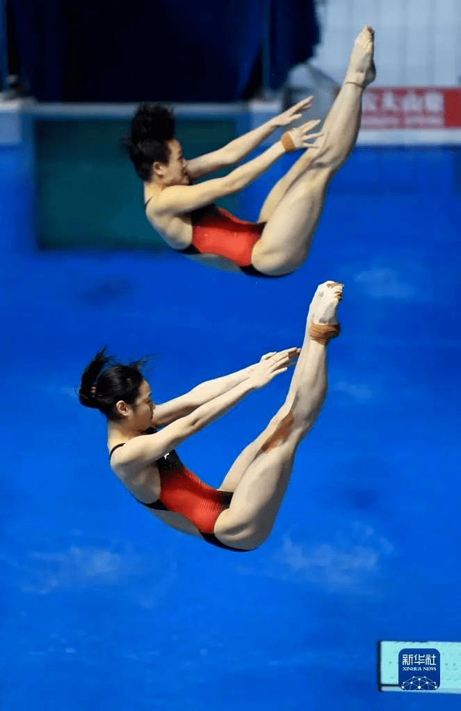 包揽八金!跳水世界杯中国队完美收官