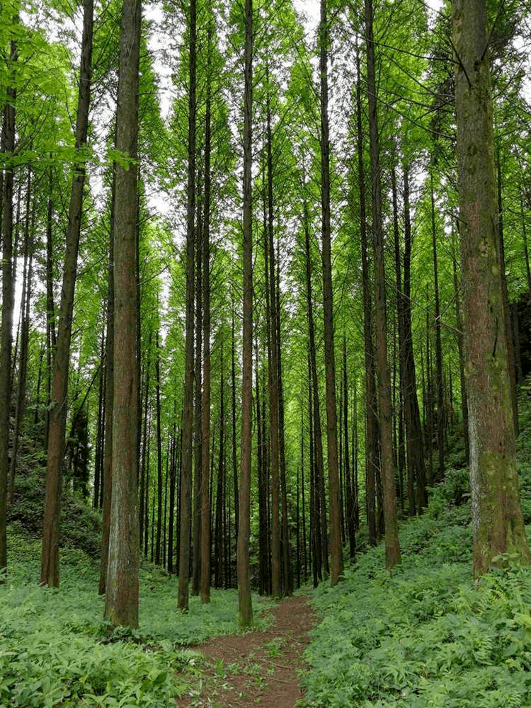 5h,这些经典徒步线路,脚踏风景,越走越美!一天打来回!