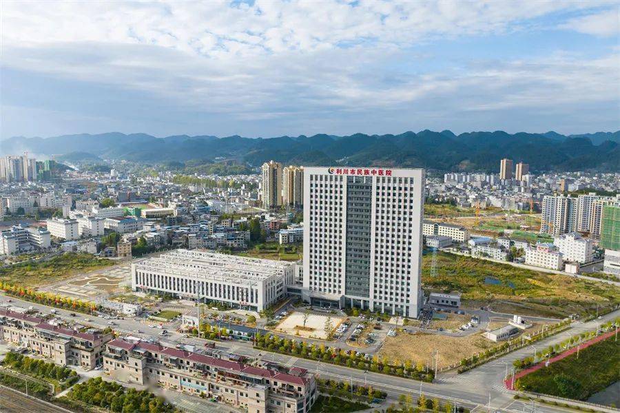 稳步快速发展的一个缩影只是利川市民族中医院这些数据为患者年平均