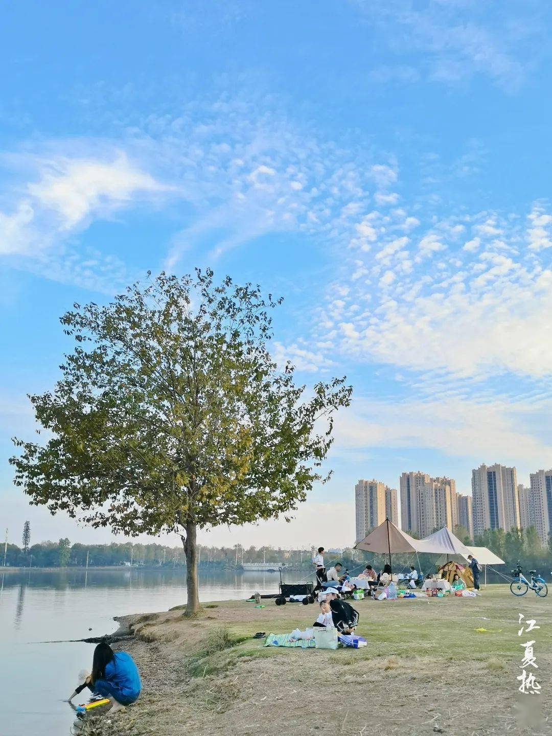 在悦湖公园里这样已经算得上是岁月静好了~相较于在家中辅导作业的