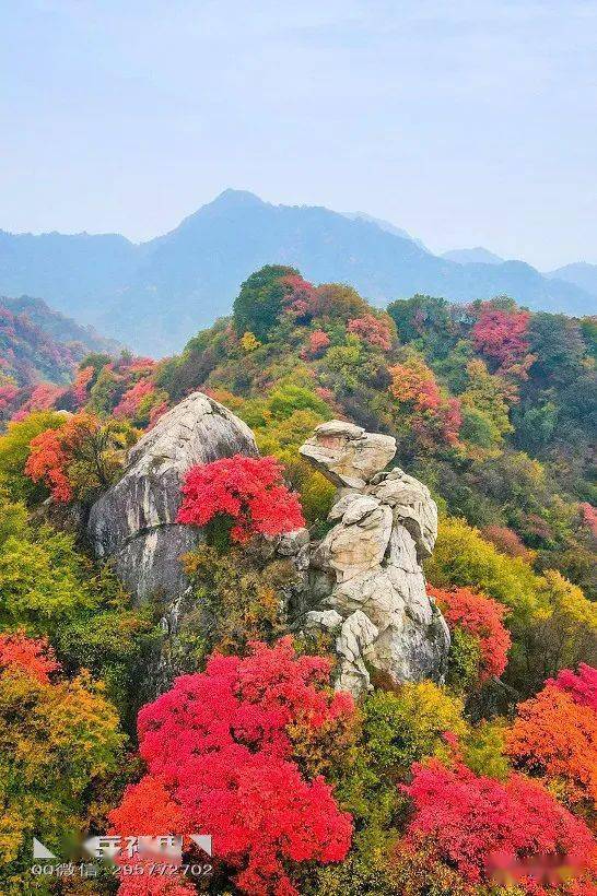 ◣九嶽視界◥ 天子峪,西安的紅葉天堂_飛來石_登山_景觀