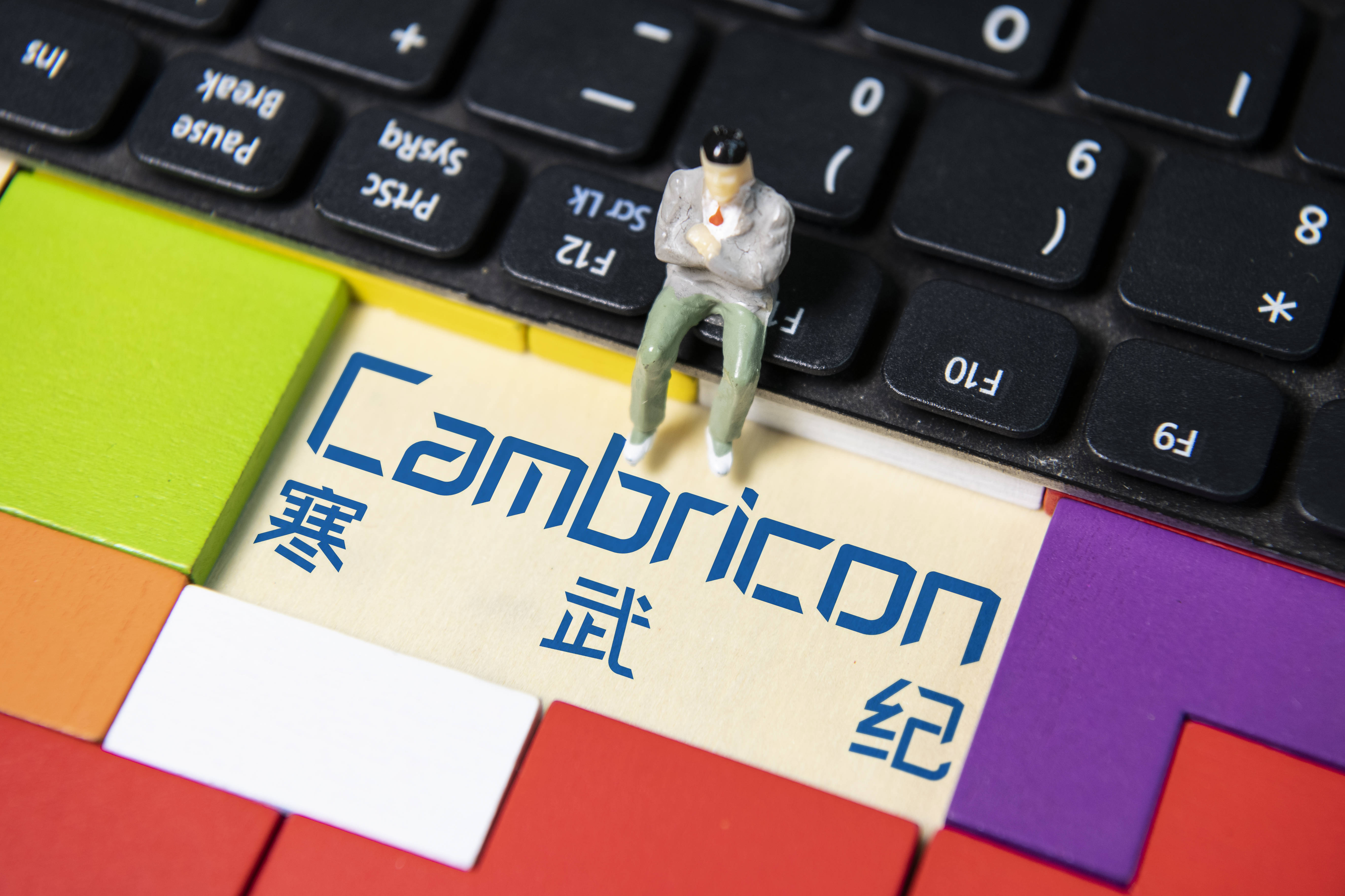 寒武纪Q3营收9258.11万元,归母净亏损3.22亿元_该公司_总额_显示