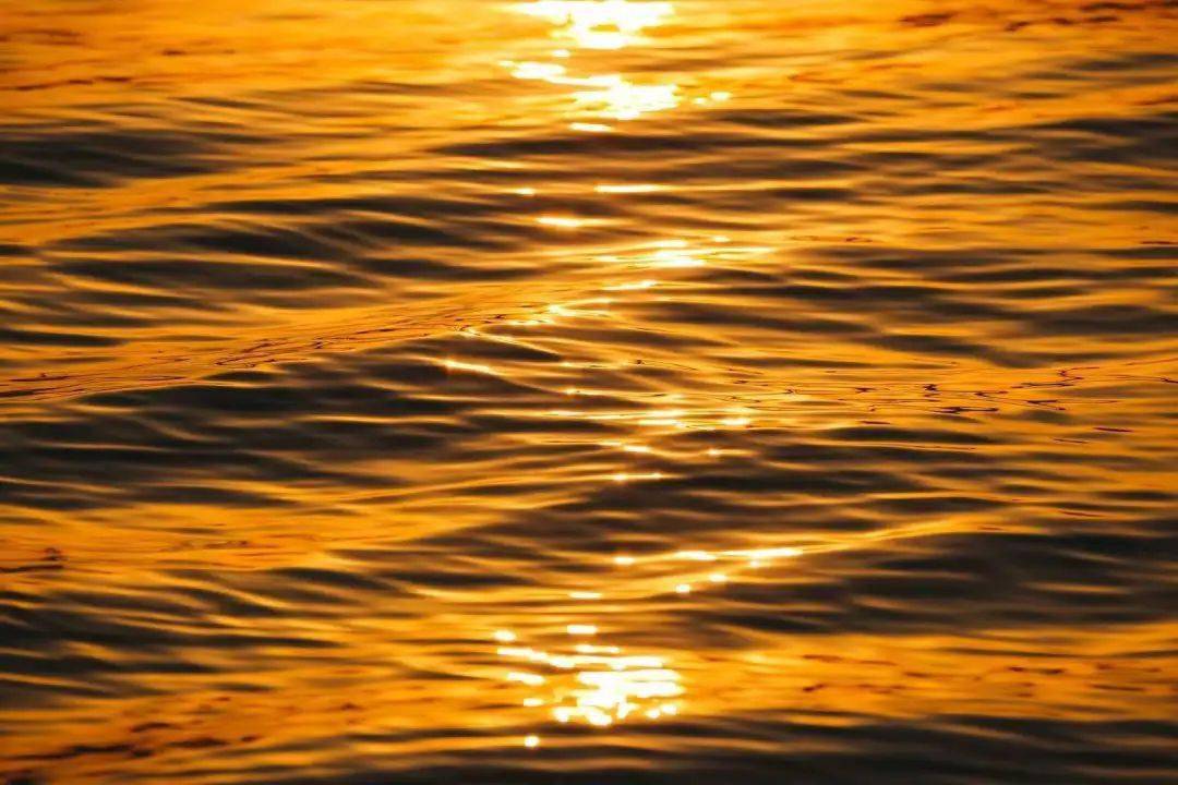 那个独一一座建在湖面的亭子，一身集齐西湖之美