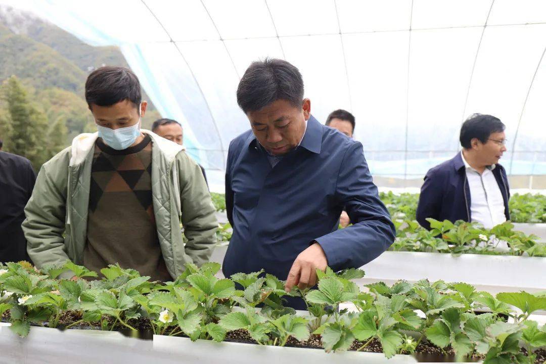 韩雄在调研全县产业发展时强调:各级要深入学习贯彻党的二十大精神