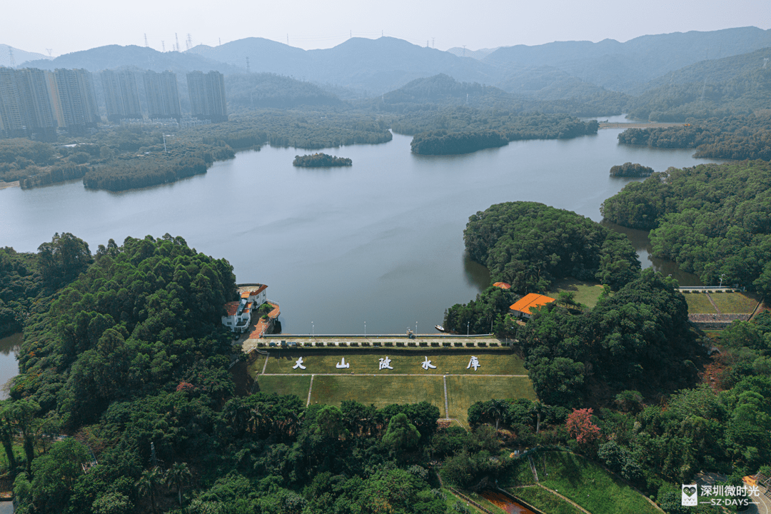 福永654坪山图片