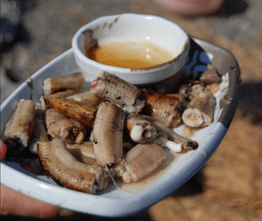 最恐怖的生物之一"破腹鱼",最爱钻腹食肉,连鲨鱼见了它都害怕_皮肤