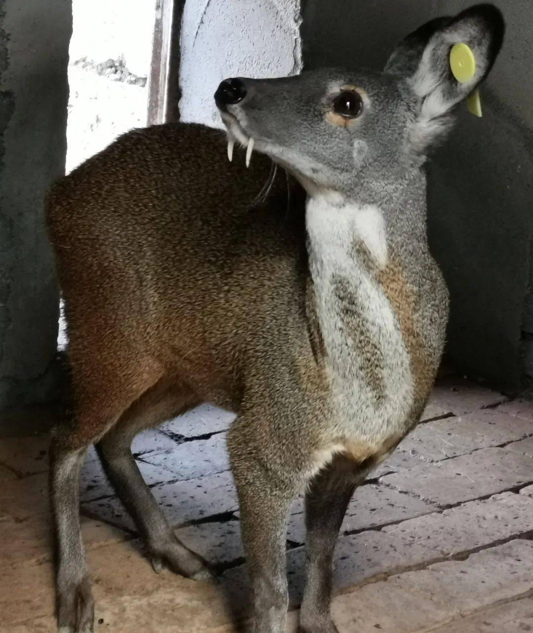 青海人快来看
