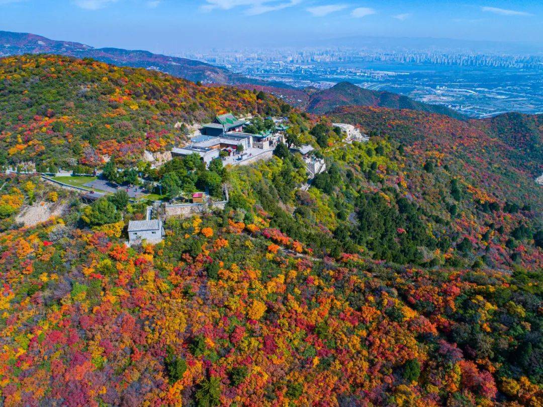 晋在眼前|太原:西山漫山红遍!_龙山_红叶_公路
