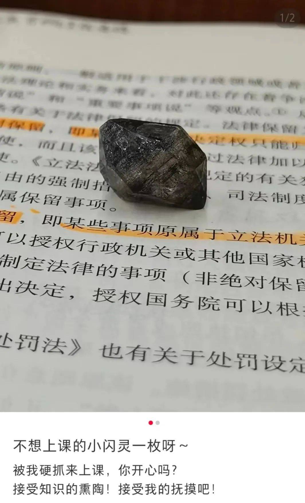 年轻人把石头当宠物养，还要给它征婚