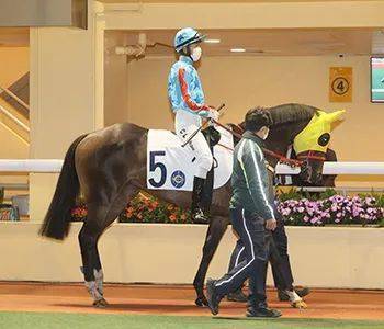 烽火台｜巫显东黎海荣图破闷局