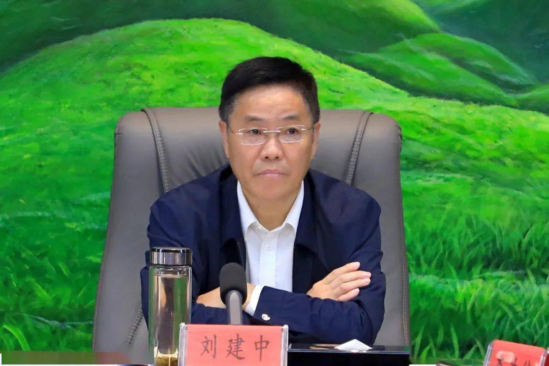 刘建中调研督导城市品质提升与道路改造工作_设计_部门_工作