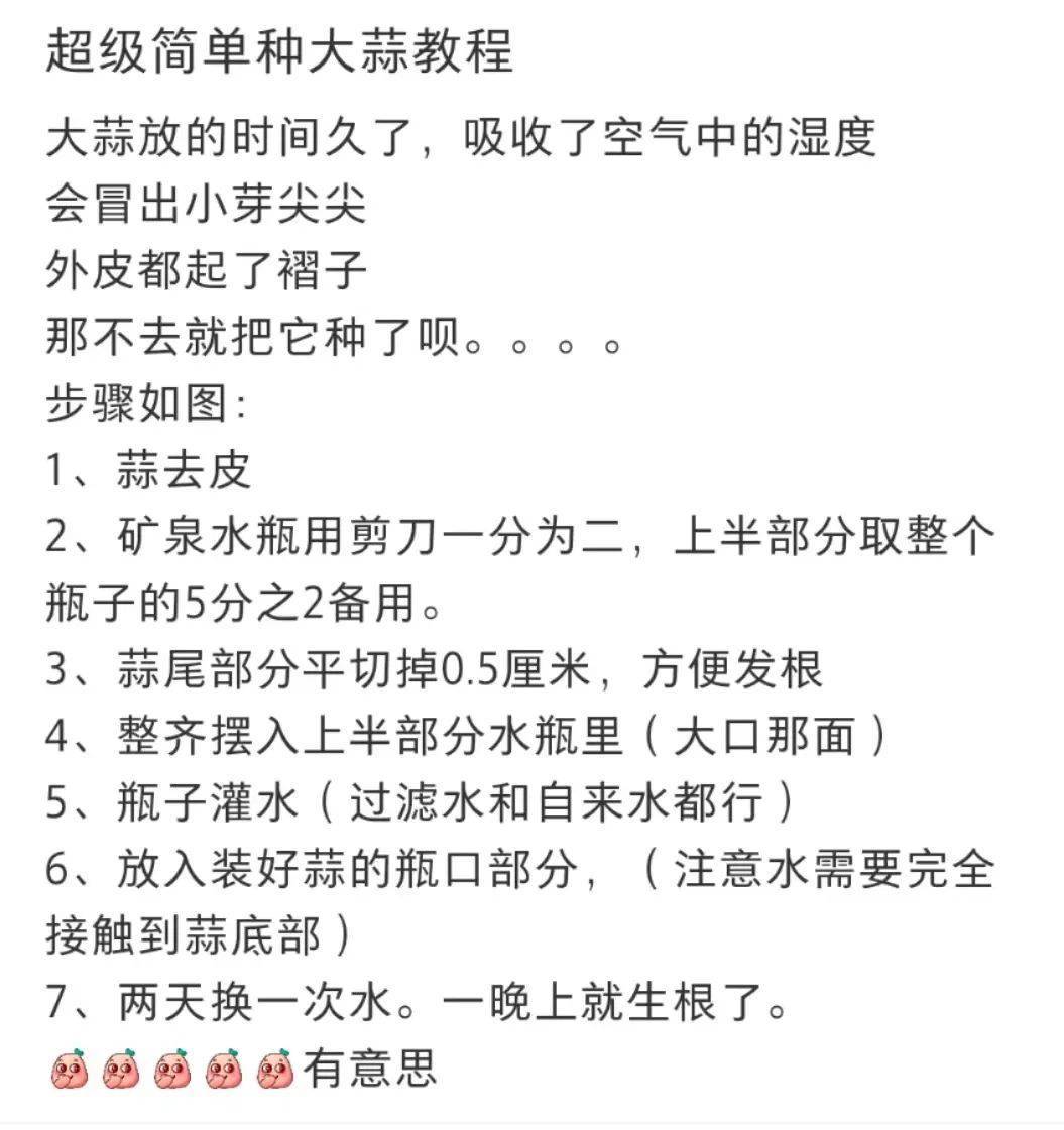 年轻人把石头当宠物养，还要给它征婚