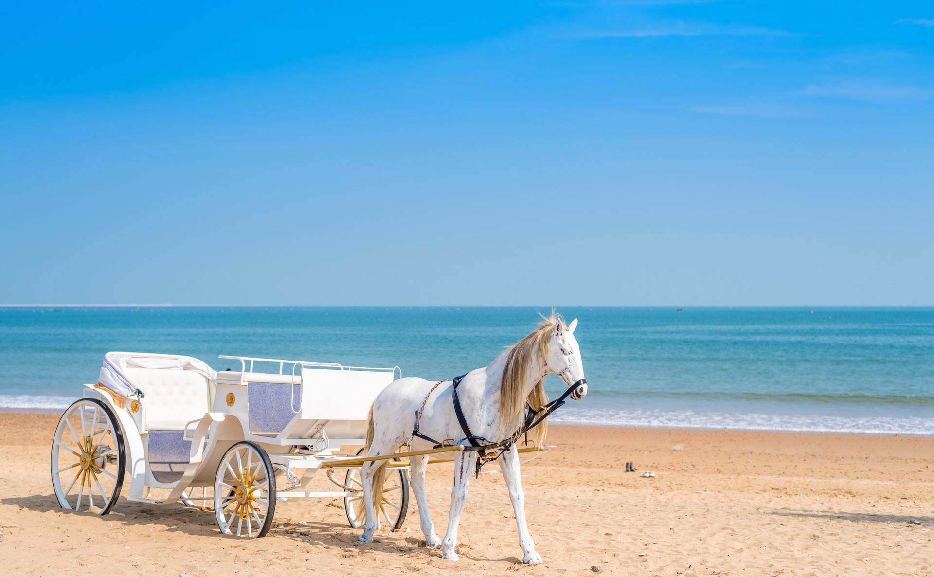 接亲途中,新娘接"前男友"电话泣不成声,被新郎拽下车:不结了