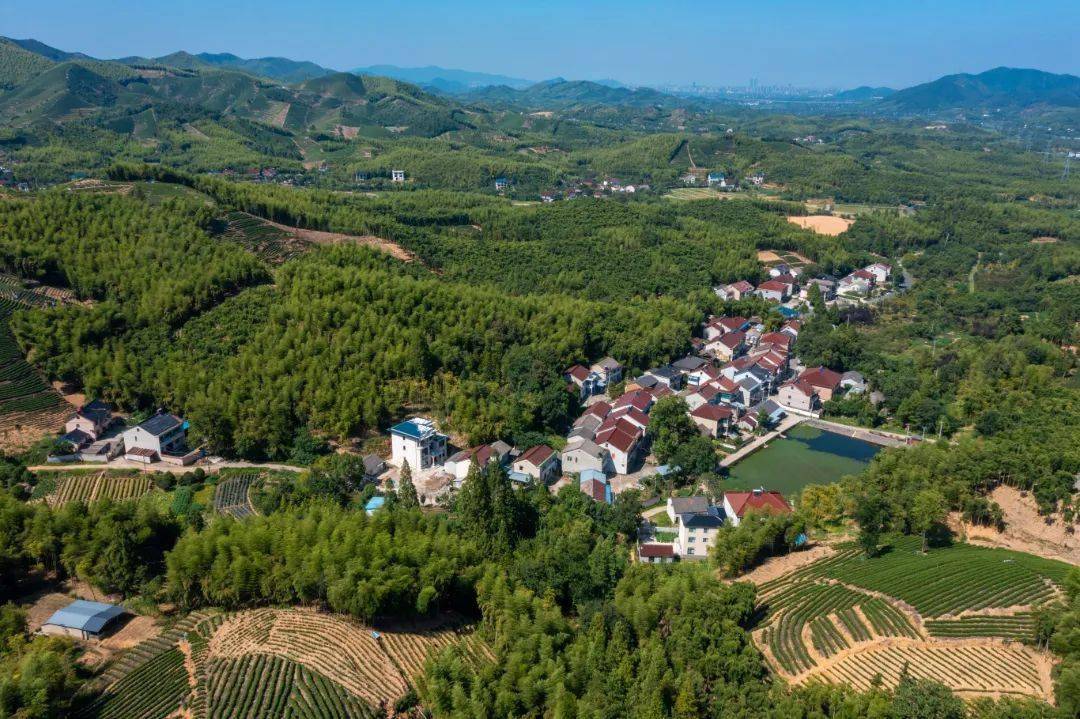 快来为吴兴这些省级健康乡镇和健康村点赞编辑:管佳佳 沈晨霞来源:区