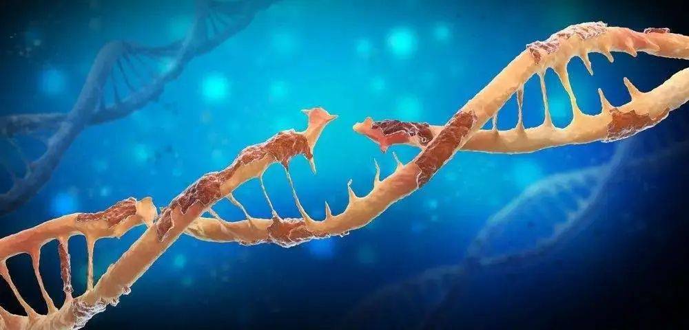 最新研究表明，新冠病毒破坏人的DNA，导致长新冠