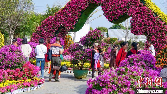 苗木花卉批发交易市场