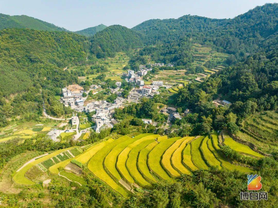 博白又发现一处深山梯田!_古代_网络_性格开朗