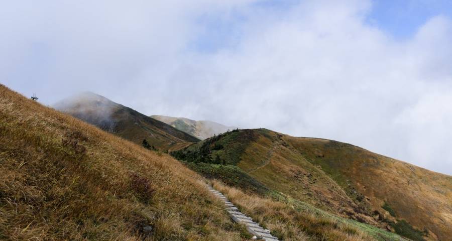 电视又卖出“白菜价”敲响家电业的转型警钟-家电圈官网
