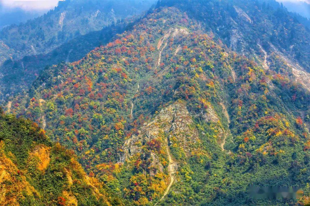 都江堰景区海拔图片