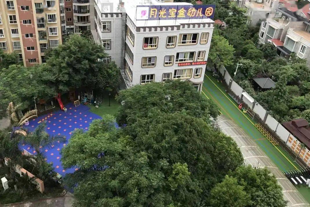 【科普进校】月光宝盒幼儿园 · 动物朋友科普小课堂_保护_知识_自然