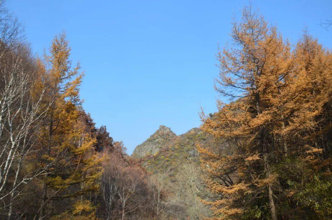 大山秋景图片图片