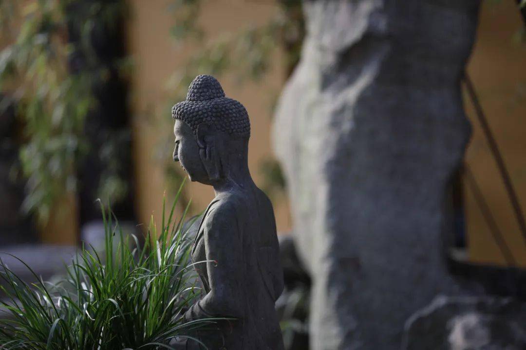 众生业重,如何转业力为愿力?_行为_业障_进修