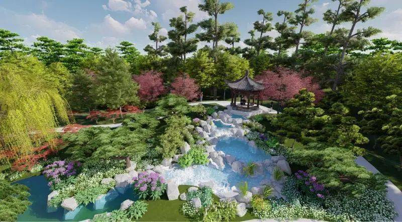 白皮松种植和管理方法图片
