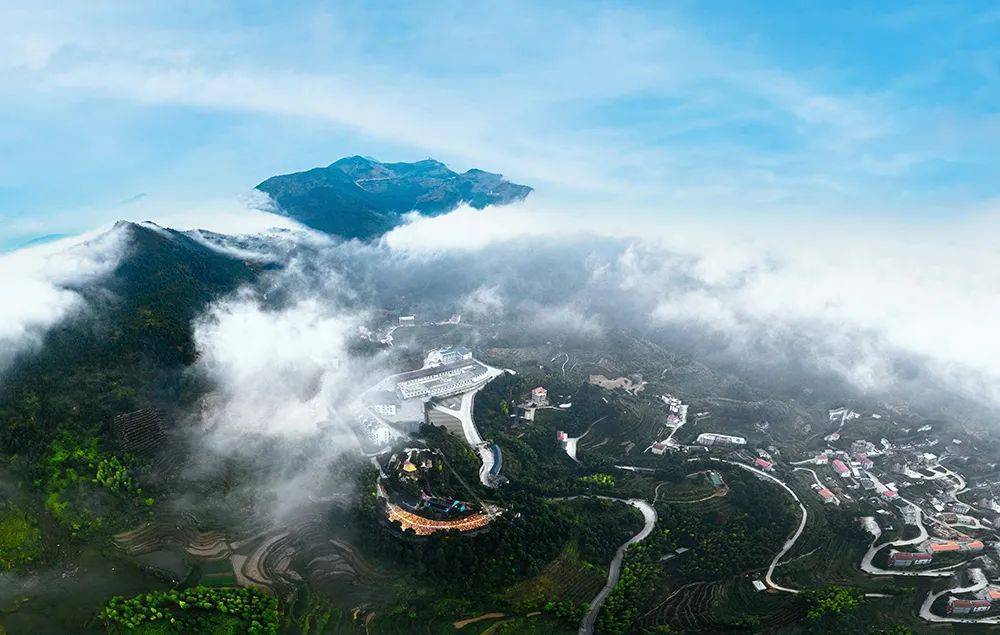 國心綠谷生態茶莊園榮登國家aaa級旅遊景區_安溪_泉州市_茶園