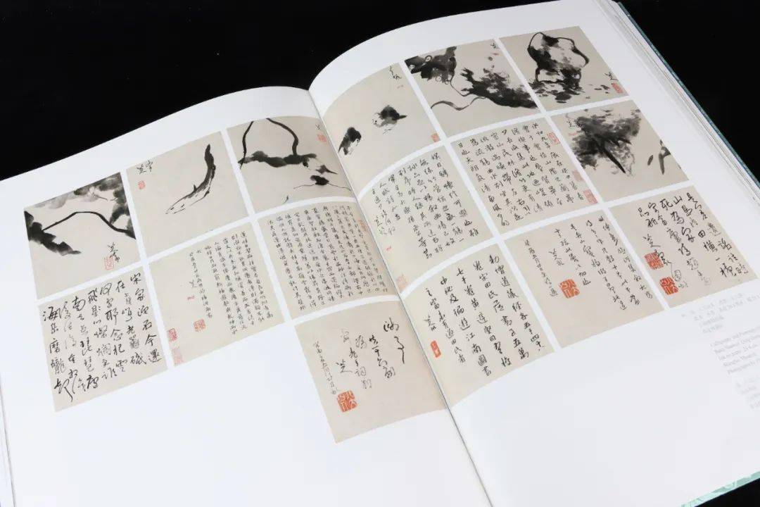 晚冊》,康熙三十五年(1696,71歲)創作的《貓石雜卉圖》(故宮博物院藏)