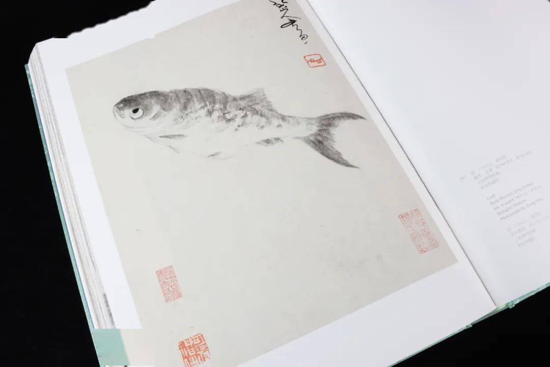 晚冊》,康熙三十五年(1696,71歲)創作的《貓石雜卉圖》(故宮博物院藏)