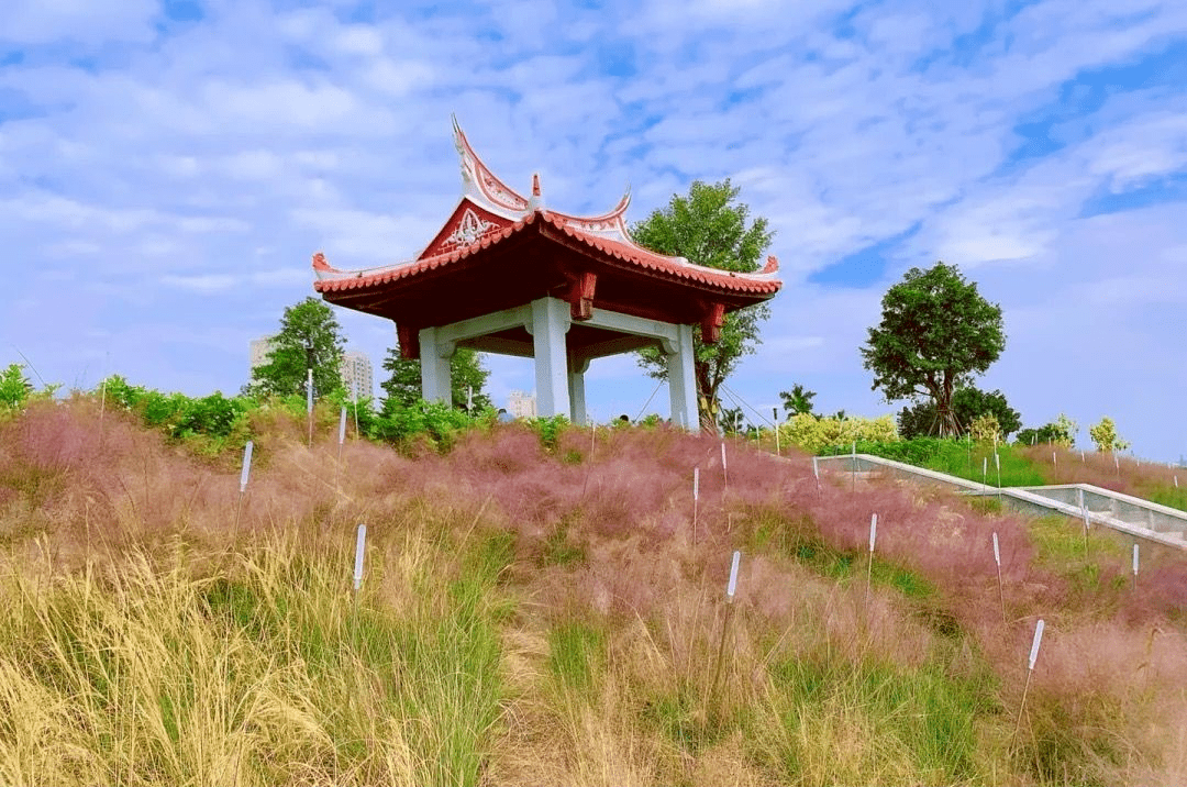 翔安下潭尾湿地公园,满眼皆是风景!