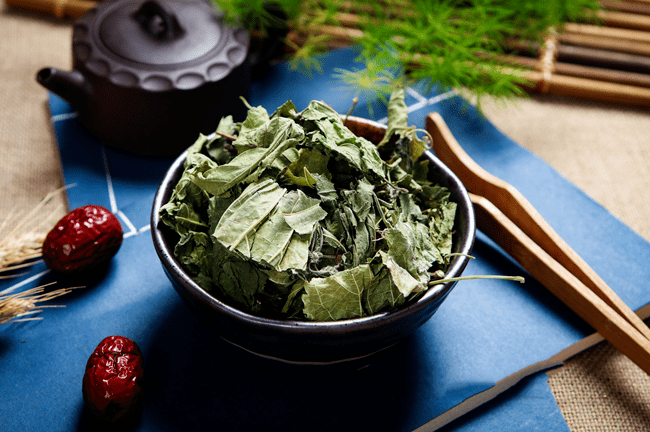 中药介绍 | 桑叶是个宝,霜打的桑叶为神仙草!_肝风_作用_文章