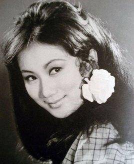 回忆香港片子-1969年香港片子票房前十