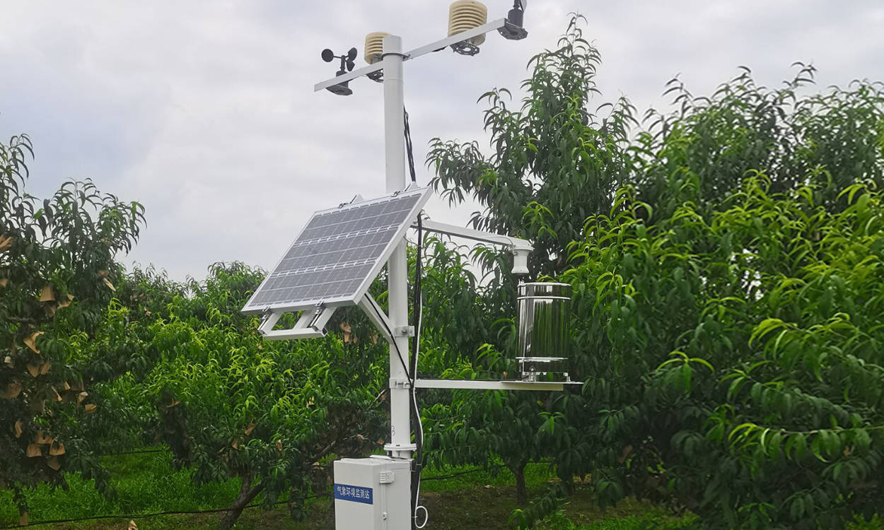农业微型气象站_灾害_农作物_影响