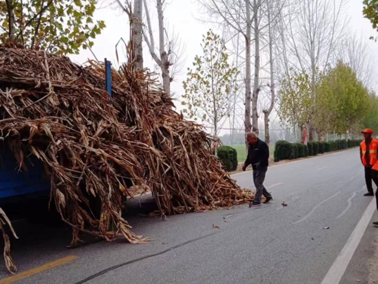方城县博望镇:乡镇街区综合整治行动初战告捷