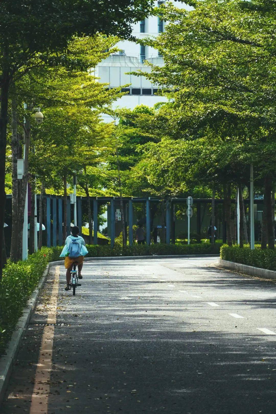 那100件事，是属于SZUer的独家记忆