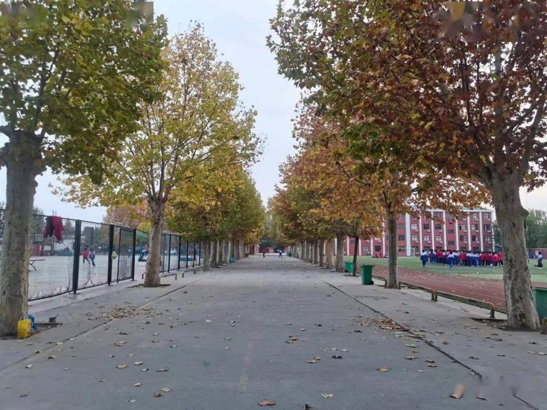 东明人,看看你的母校现在什么样子!_中心_校园_沙窝镇